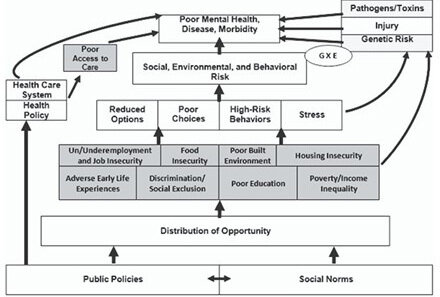 Figure 1 - Compton 2015 &ndash; Conception of social determinants of mental health