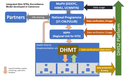 Figure 1:  Integrated Skin NTDs Surveillance Model developed in Cameroon (see list of abbreviations at the end of the text)&nbsp;