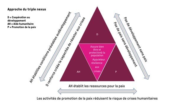 &laquo; Sch&eacute;ma traduit et adapt&eacute; de https://reliefweb.int/sites/reliefweb.int/files/resources/Tana_Nexus_Brief.pdf et diplofoundation &ldquo;Nexus: Breaking the silos between humanitarian, development, and peace activities &raquo;, Dominique Hempel Rodas &raquo;&nbsp;