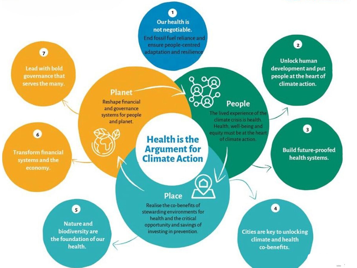 Source: WHO COP29 special report on climate change and health: Health is the argument for climate action&nbsp;