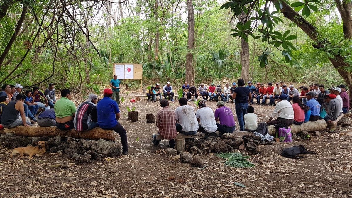 Atelier pour promoteurs/trices de sant&eacute; communautaire MTM. Photo: &copy; Madre Tierra Mexico