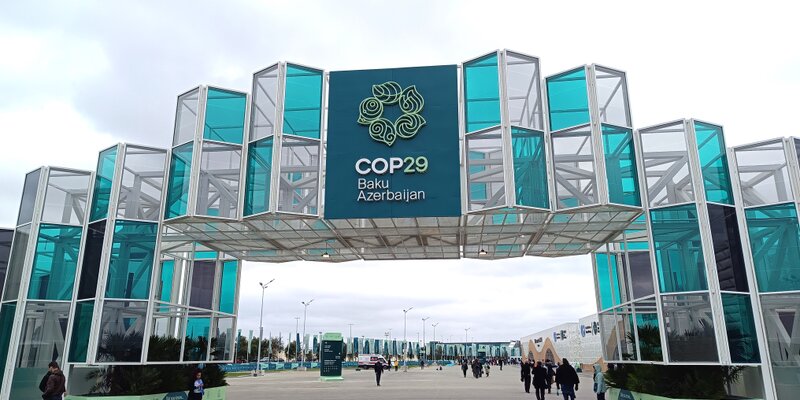 Climate and Health in Focus: Major Developments from COP29
