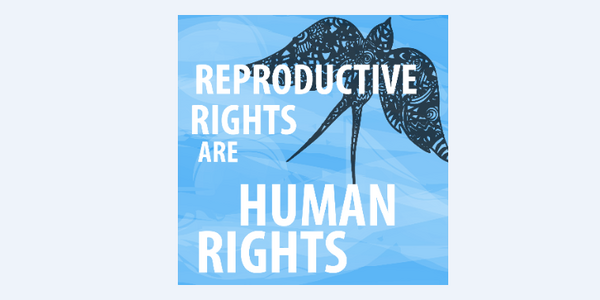 SRHR Meeting point on „Human rights based approaches to Sexual and Reproductive Health“
