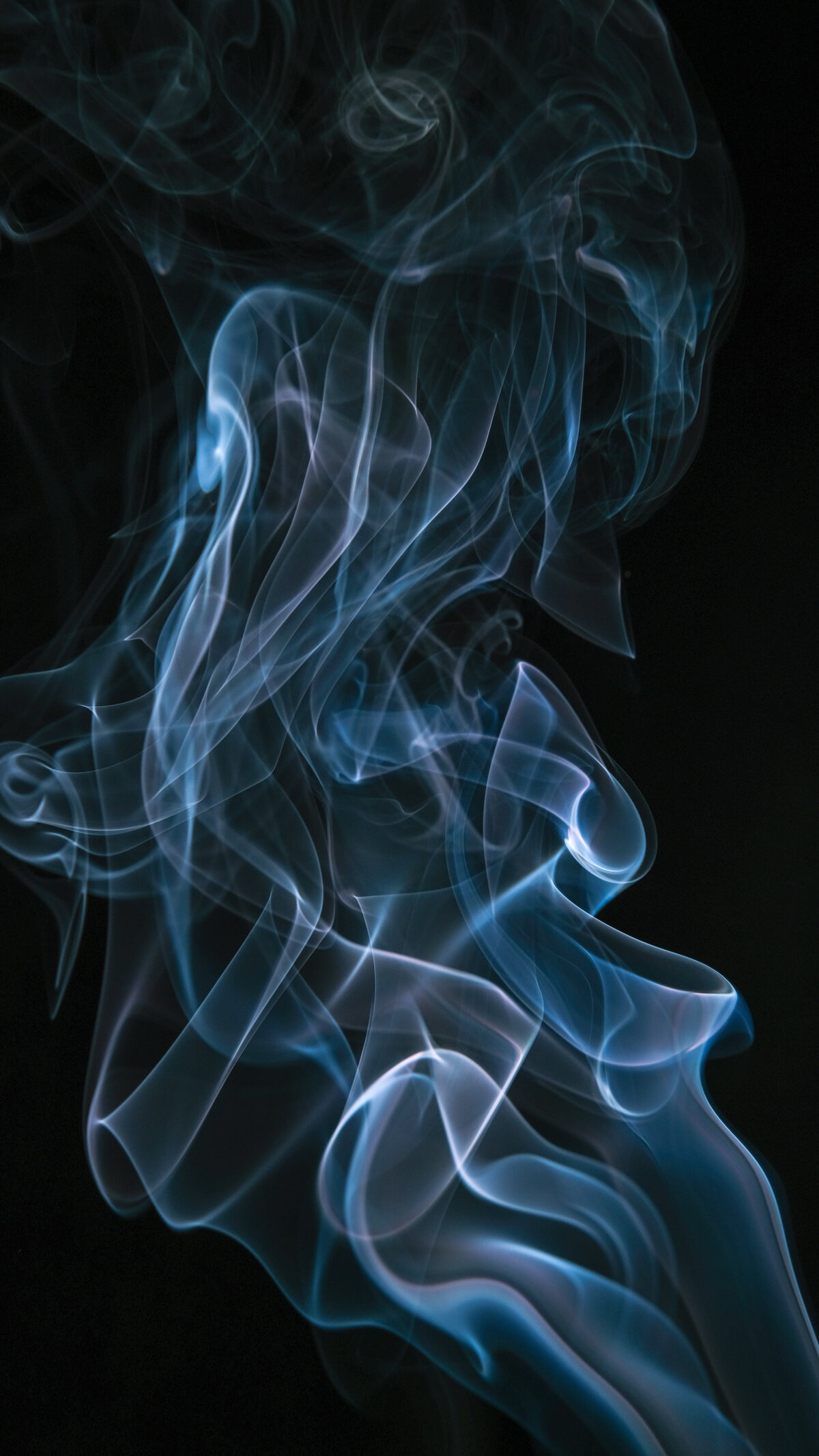 Photo by Mulyadi on Unsplash