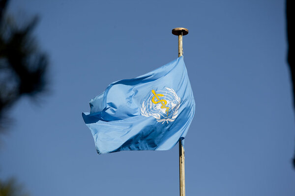 WHO Holds First Ever Pre- World Health Assembly Session With Civil Society
