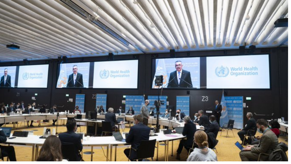 Bulletin #43: WHO Executive Board sets agenda for 2023