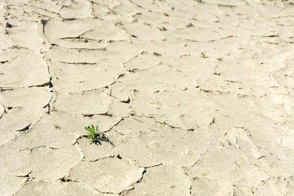Erste Resolution der WHA zum Klimaschutz nach 16 Jahren