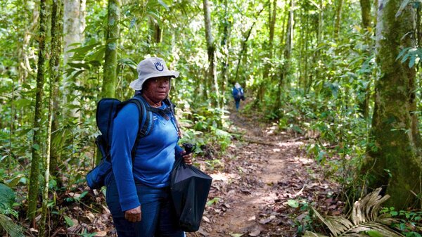 Kolumbien: Versteckte Gefahr im grünen Paradies