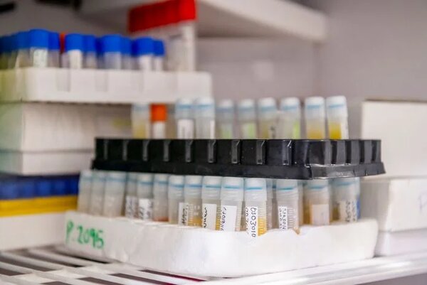 Harnessing the power of genomic data to improve patient outcomes with Swiss TPH and CSRS
