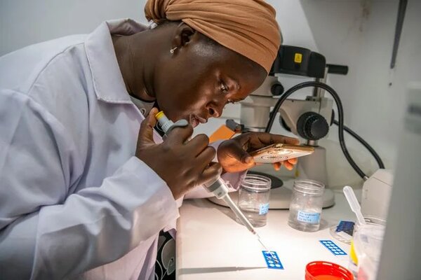 ESKAS scholars: Strengthening Switzerland’s global research ties