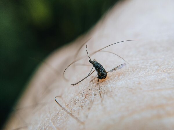 Global Fund: Declines in Malaria, HIV and TB Deaths Threatened by Donor Aid Cutbacks, Climate and Conflict