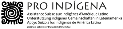 Pro Indigena