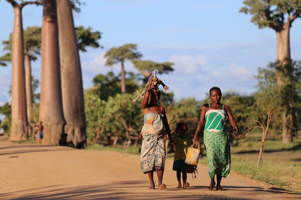 COVID-19 in Africa: half a year later