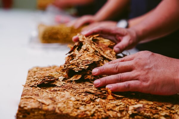Ausschreibung MMS Bulletin #160: Fighting Tobacco in LMIC (Arbeitstitel)