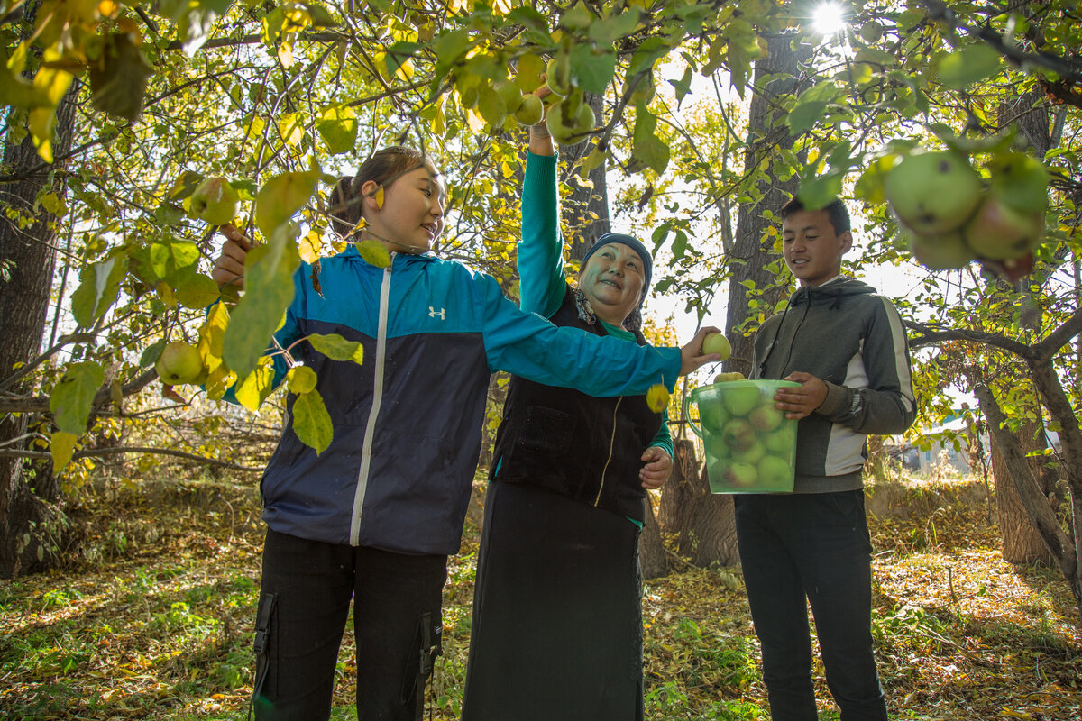 Photo: &copy; Chingiz Namazaliev<br>