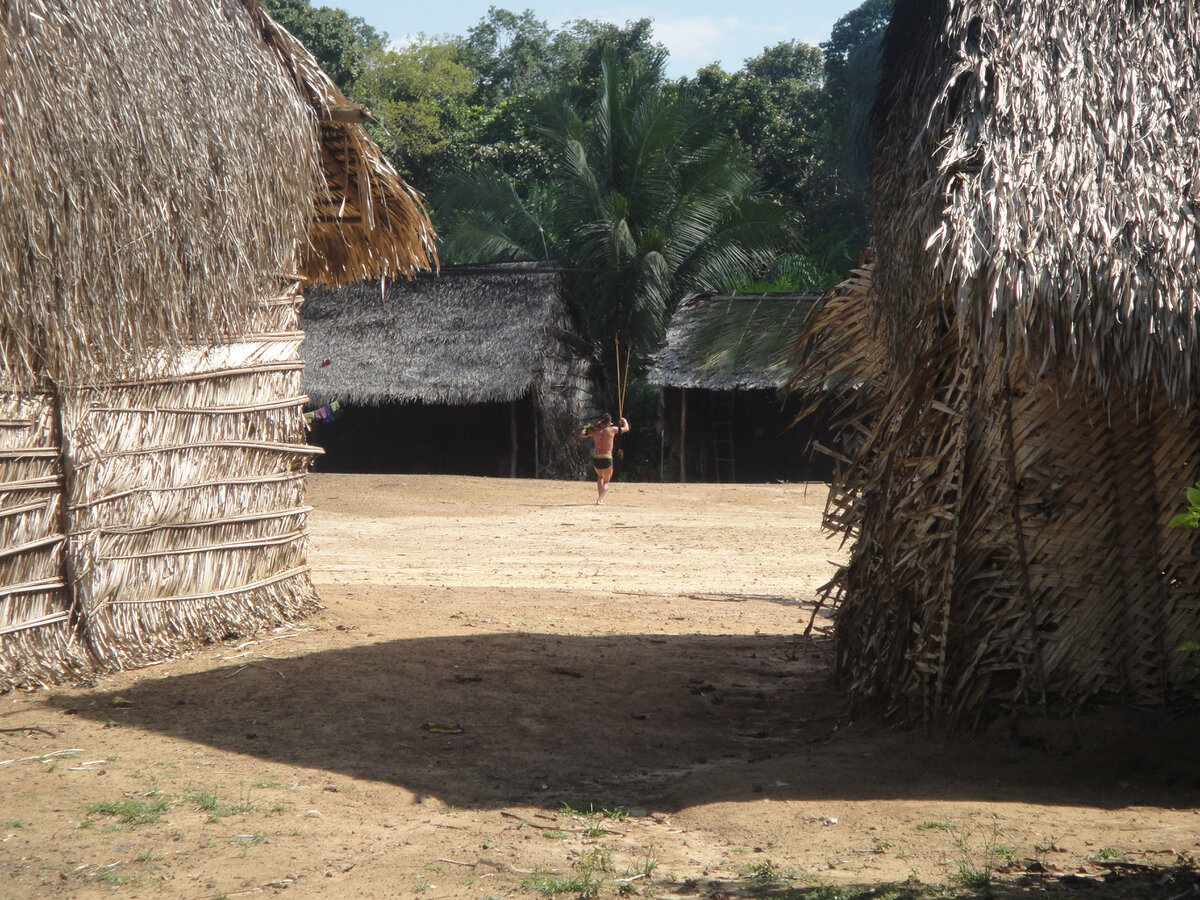Rituel chamanique Yanomami. Photo: &copy; Secoya, 2013