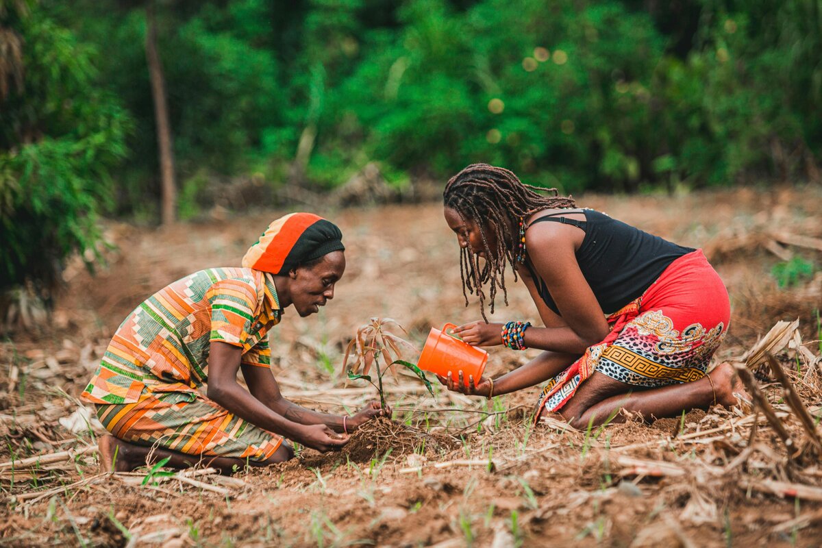 photo:&copy;safari-consoler/pexels