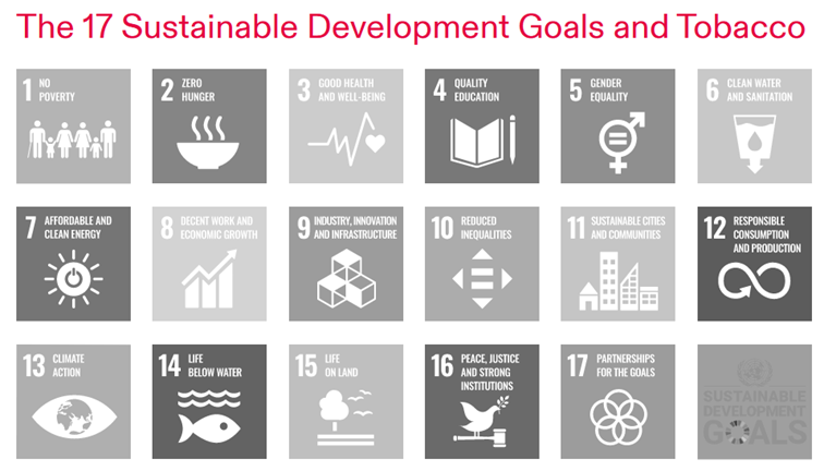 Sustainable Development or Tobacco: 17 Shades of Grey 