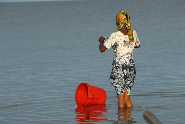 From Research to Impact: Tackling Female Genital Schistosomiasis