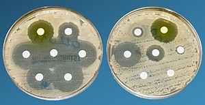 Swiss TPH Winter Symposium 2015