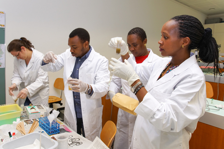 Health Care and Management: From Research to Implementation