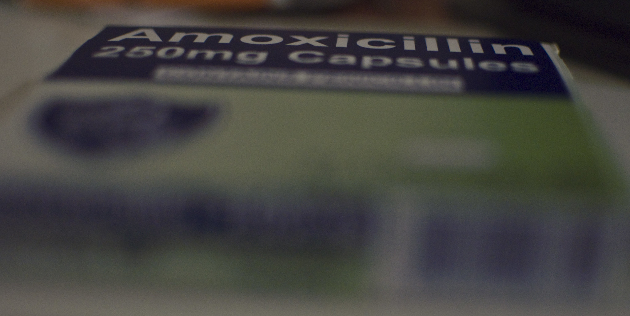 Eine Katastrophe mit Ansage