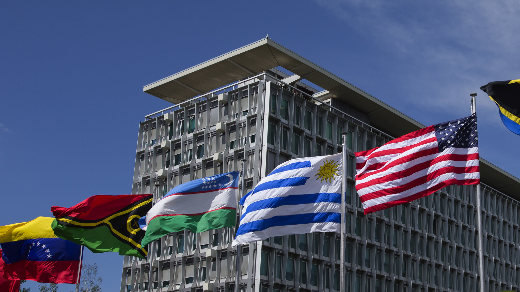 Health: A Political Choice – Act Now, Together