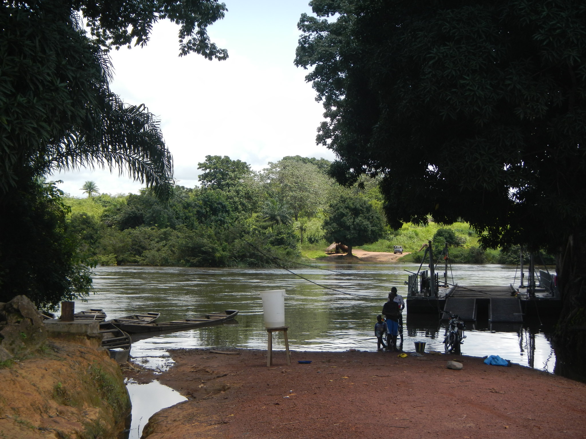 Coronavirus in West and Central Africa: A full-scale test for the Integrated Disease Surveillance and Response 2020-2030?