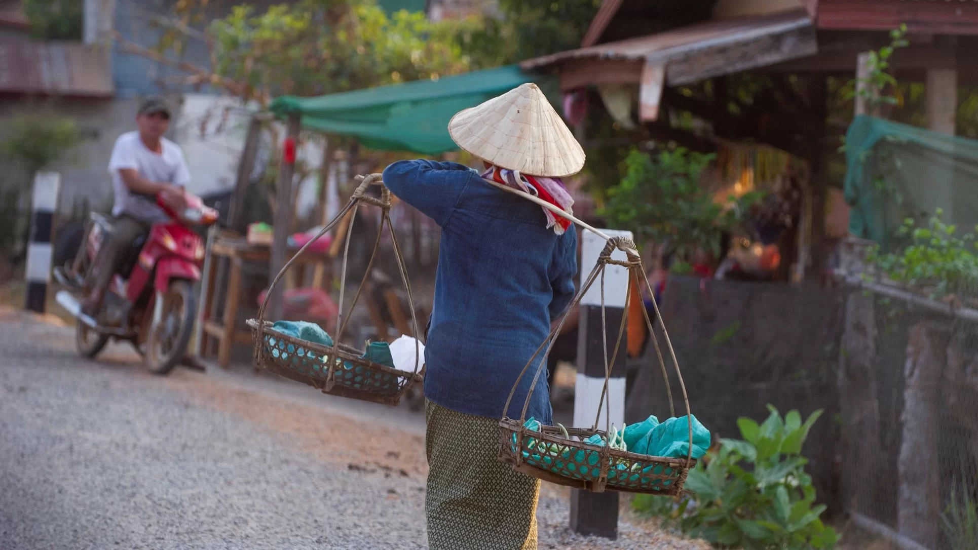 Collateral Damage of COVID-19 on Low- and Middle-Income Countries