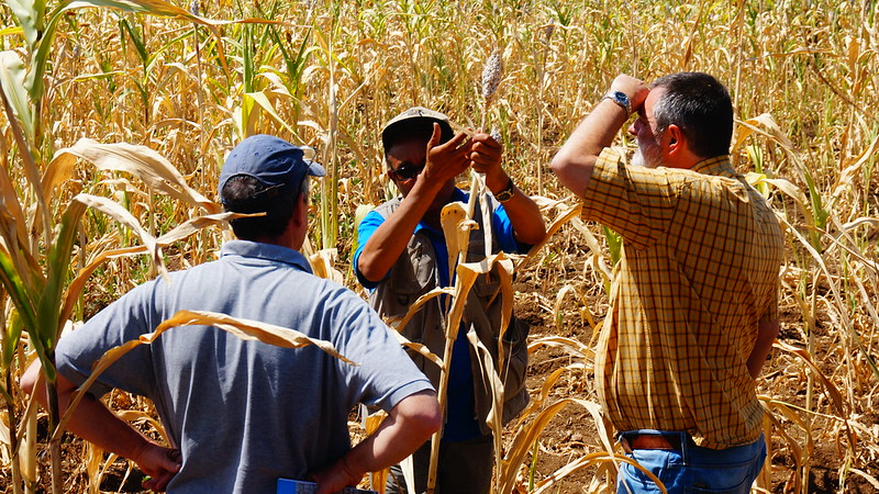 Die Schweiz steht in der Verantwortung gegenüber notleidenden Menschen in Afrika