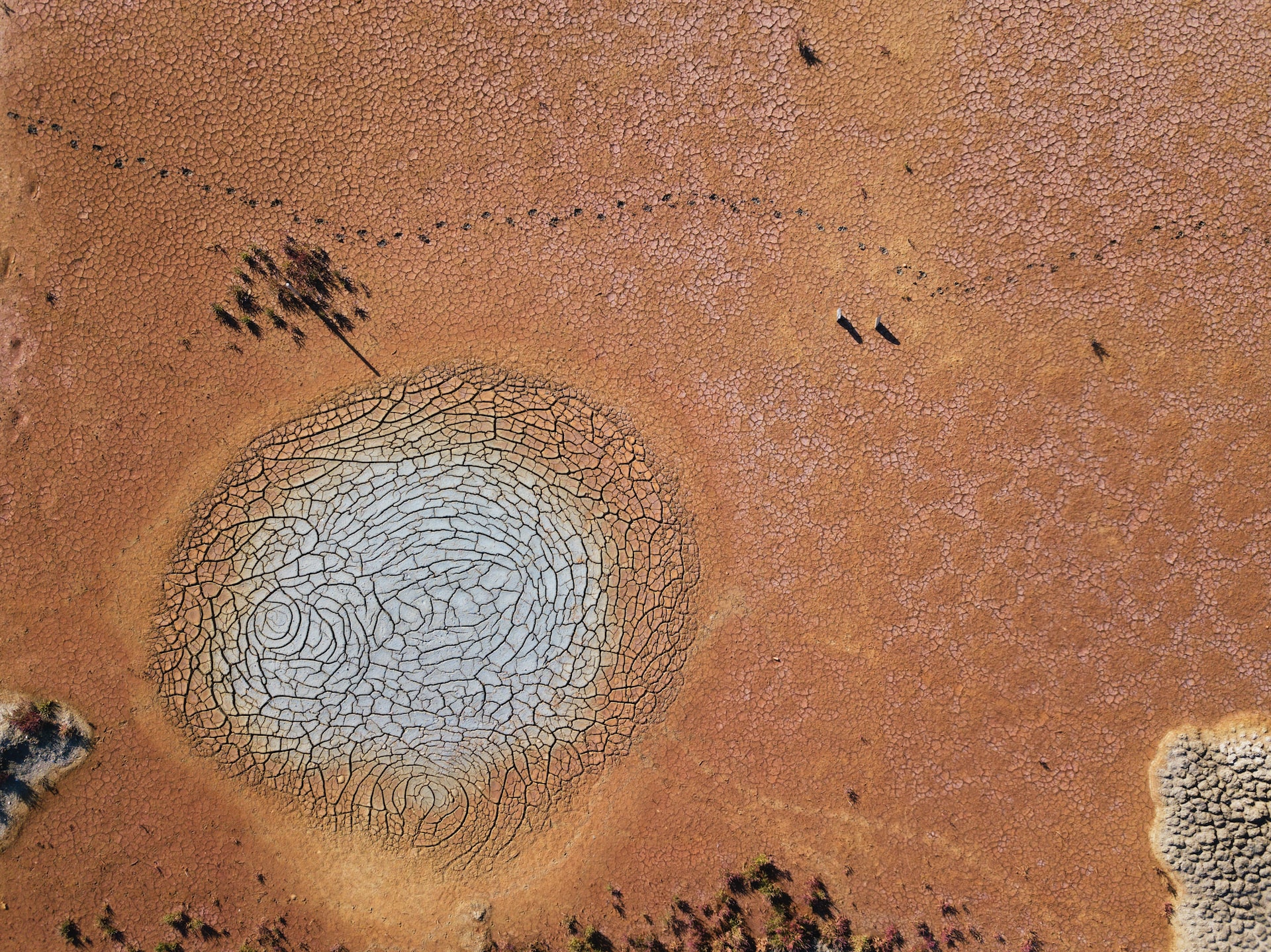 Soon the world will be unrecognisable’: is it still possible to prevent total climate meltdown?