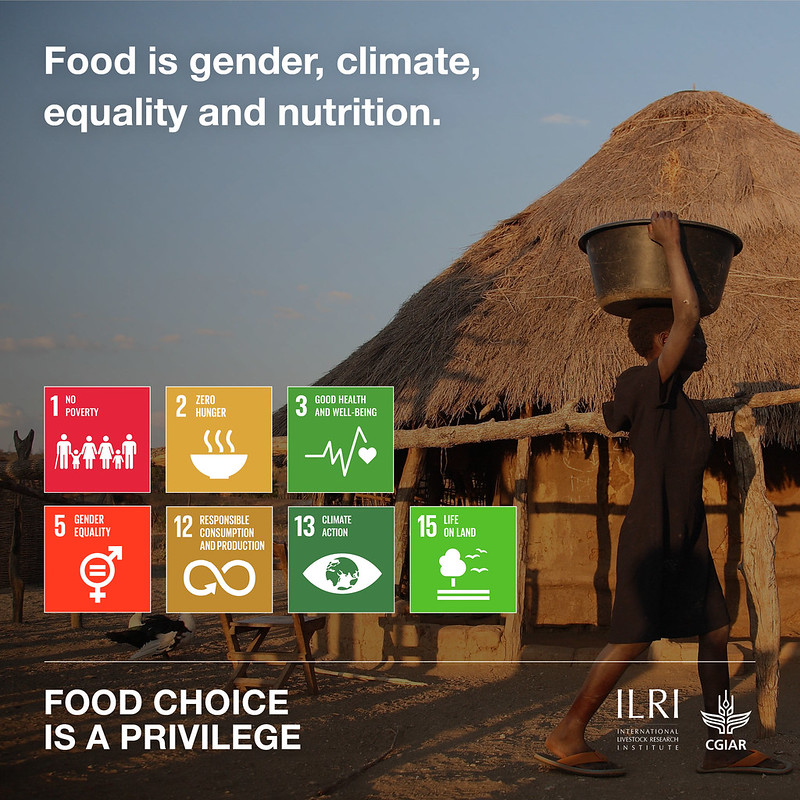 Die UN-Nachhaltigkeitsziele müssen auf neue Weise angegangen werden