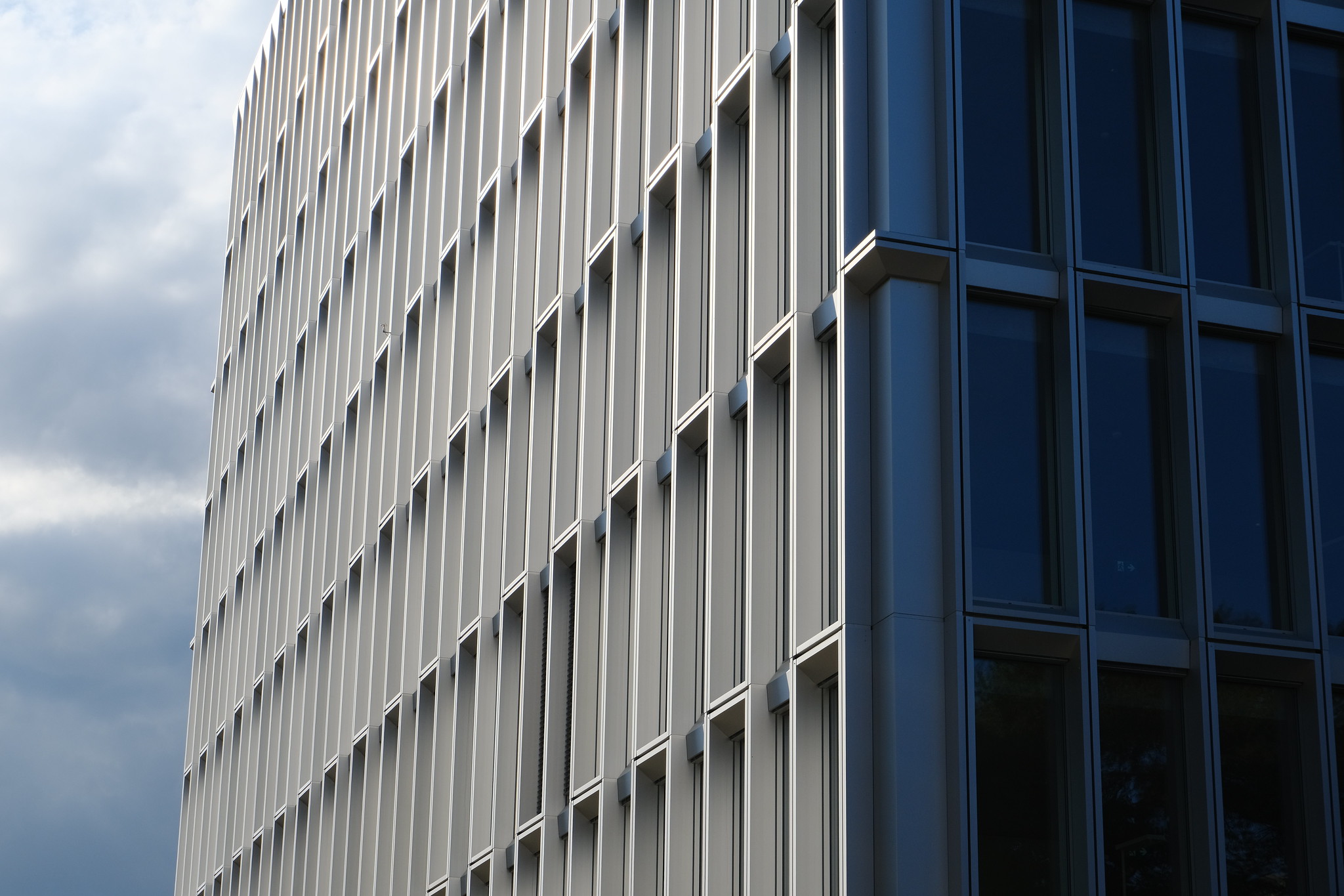 EXCLUSIVE: Number of WHO Senior Directors Nearly Doubled since 2017, Costs Approach $100 million