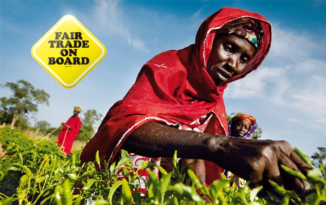 The Economic Impact of COVID-19 in Low- and Middle-Income Countries