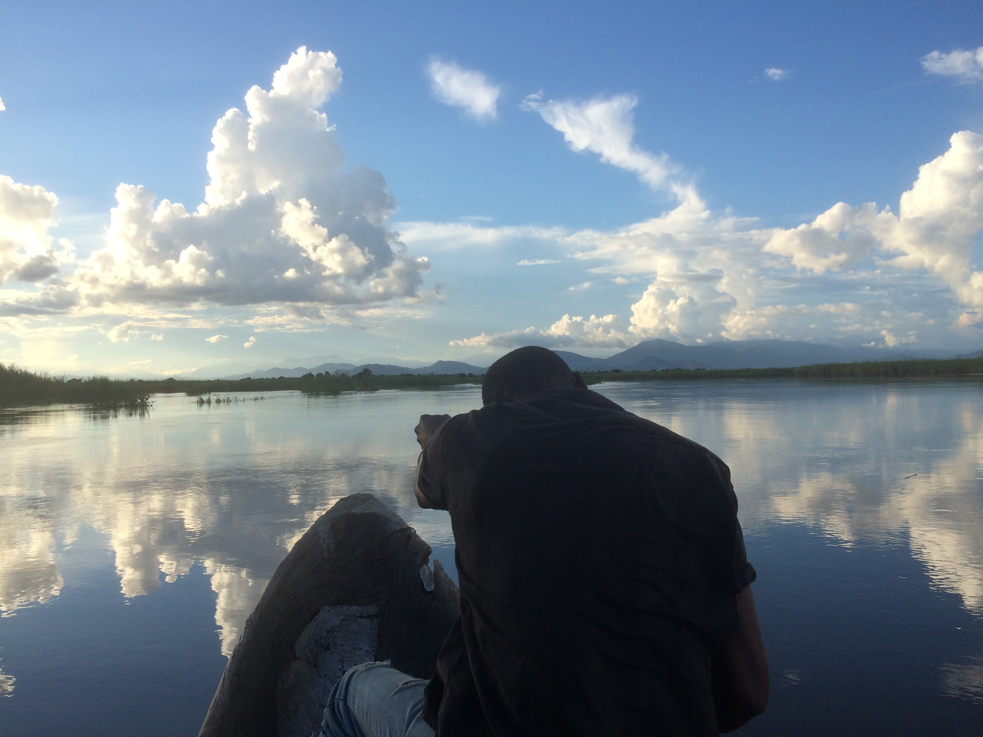 Advancing in the Fight against Neglected Tropical Diseases