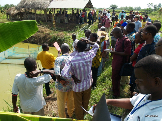 NGOs as powerful catalysts for policy