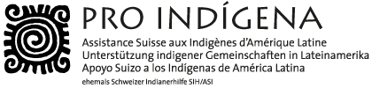 Pro Indigena
