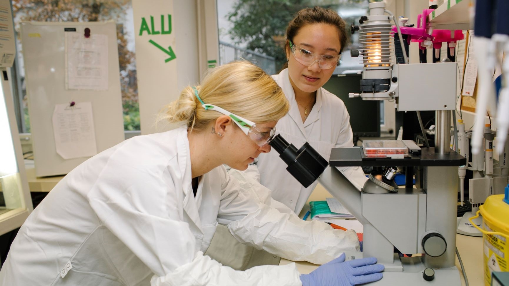 Public-private partnership launched to develop new drugs for parasitic worm infections