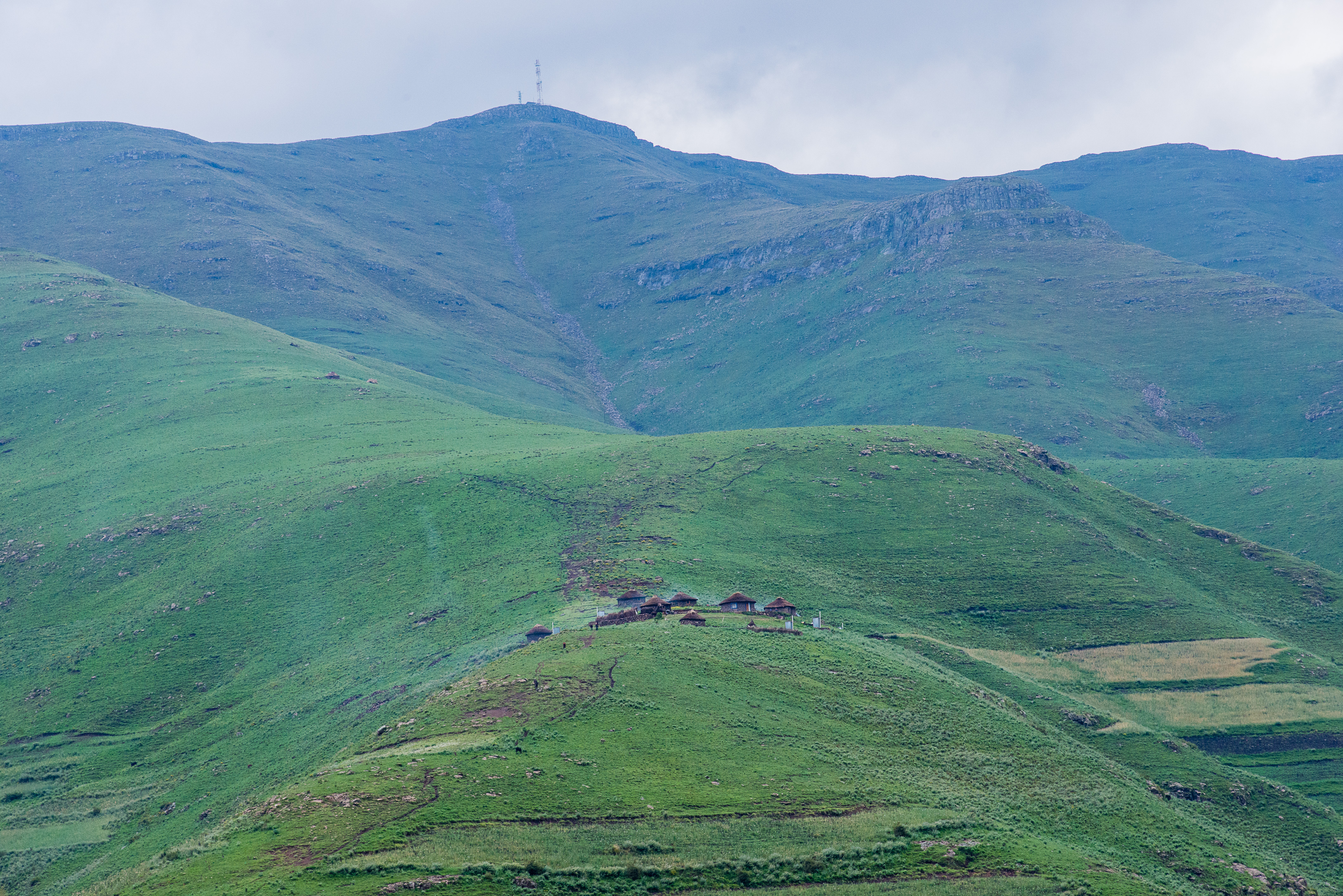 In Conversation With… Mathebe Kopo and Alain Amstutz