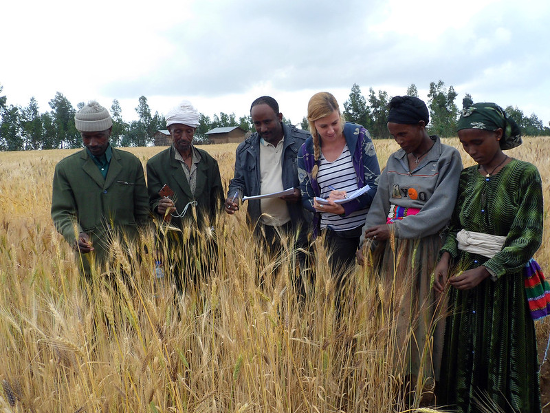Synergising Research and Service Activities at Swiss Research Institutions to Accelerate Sustainable Development