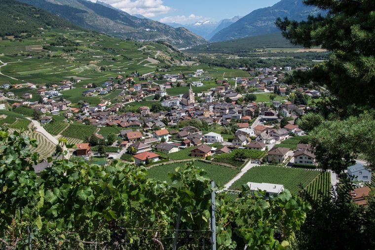 Children’s Exposure to Pesticides in Vineyard and Orchard Regions