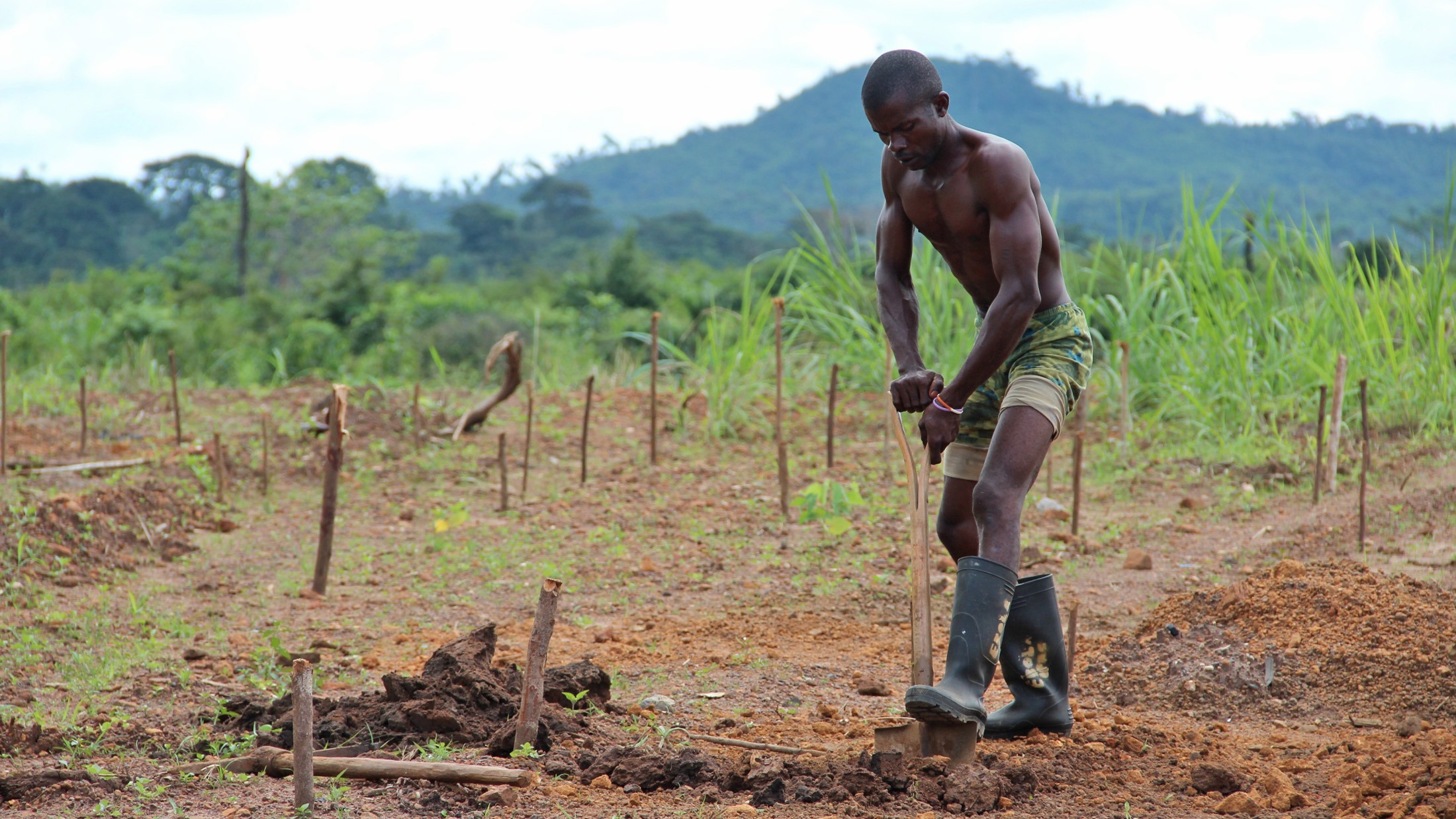 Ebola: Leçons pour l'OMS