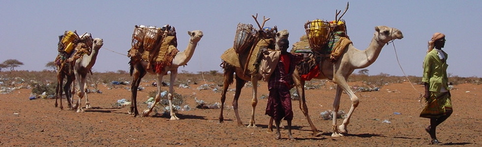 Demande d'adhésion : Hadia Medical Swiss